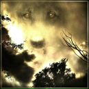 Фотография Ларина Николая