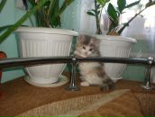 Дмитро Бабій фотография #23 (источник - https://vk.com/id27455129)