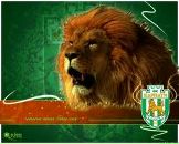 Андрій Ільницький фотография #5 (источник - https://vk.com/id75537117)