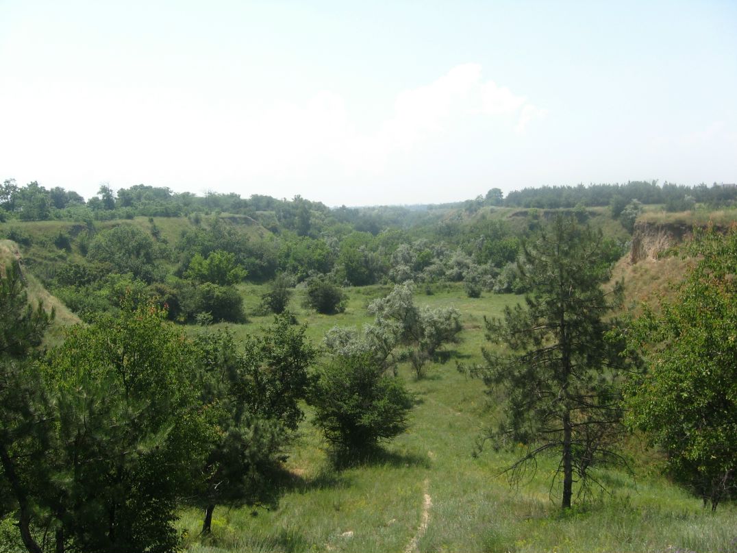 Сергей Маслов фотография #33