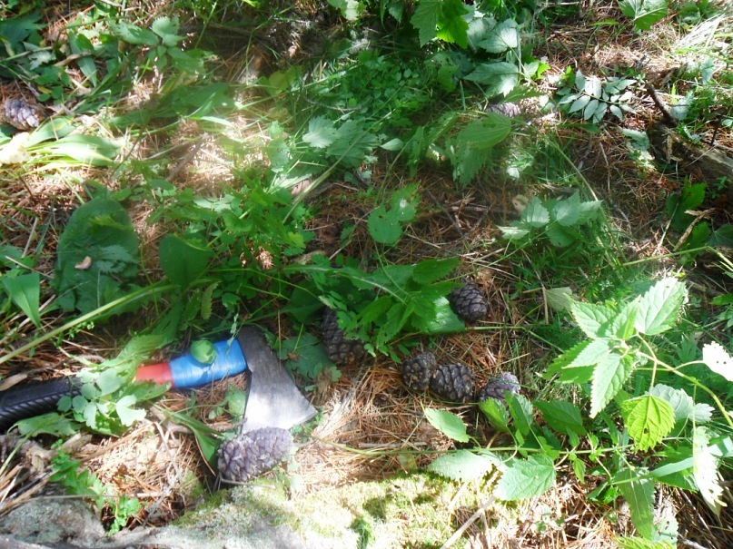 Елена Симонова фотография #5