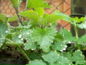 Сергій Гурінчук фотография #10 (источник - https://vk.com/id12433093)