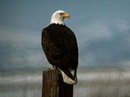 Іваночка Красунечка фотография #7 (источник - https://vk.com/id155327169)