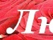 Тетяна Янків фотография #25 (источник - https://vk.com/id139249272)