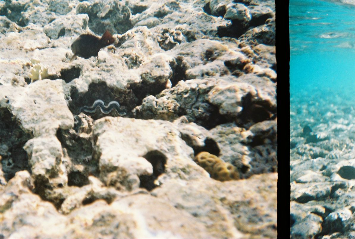 Александр Кадыкеев фотография #33