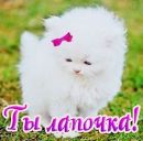 Віруся Мельник фотография #35 (источник - https://vk.com/id170264868)