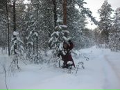 Фотография Лиханиной Веры