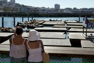 Павел Филиппенков фотография #48 (источник - https://vk.com/id2524484)