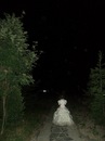 Світлана Мельник фотография #4 (источник - https://vk.com/id135373885)