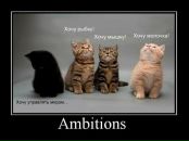 Фотография Рюминой Евгении