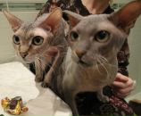 Фотография Лукиной Ирины