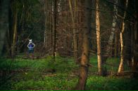 Фотография Konkin Pavel