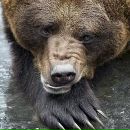 Фотография Мастыкаша Андрея