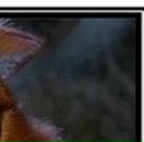 Валентин Пасічник фотография #41 (источник - https://vk.com/id102032401)