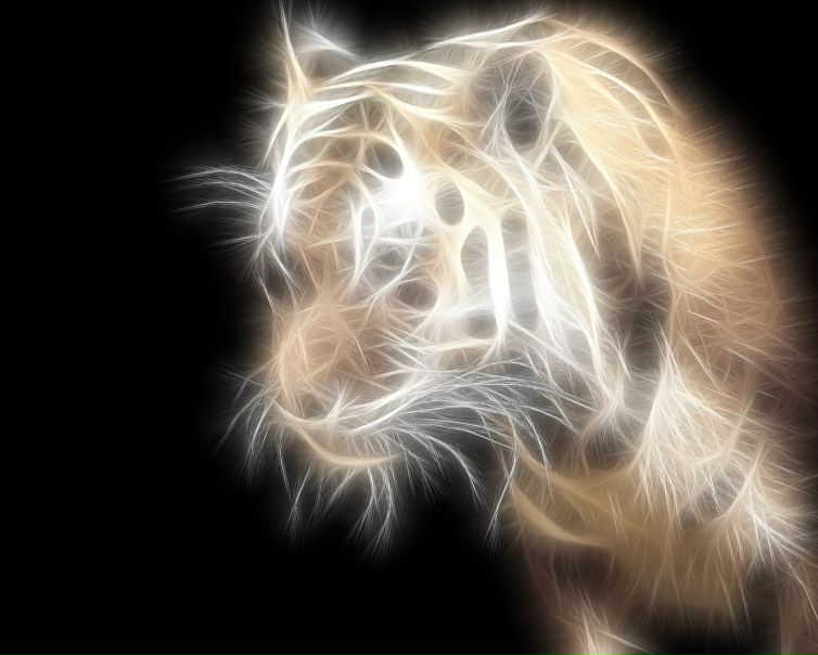 Дима Рыженко фото №1