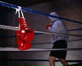 Фотография Сибирякова Светлана