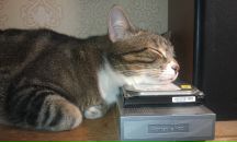 Фотография  