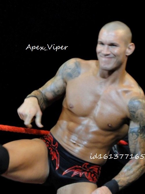 Randy Orton фотография #26