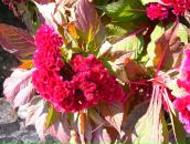 Фотография Селивановой Татьяны