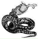 Фотография Калашникова Максима