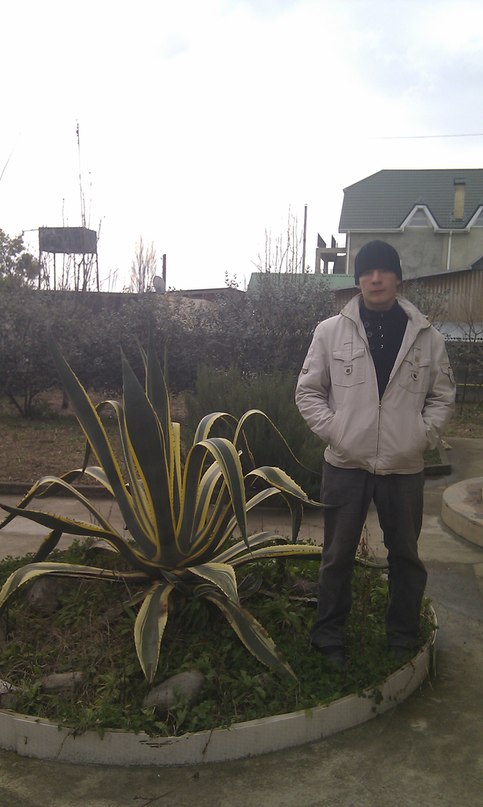 Дмитрий Онищенко фотография #18