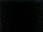 Фотография Лобовиковой Елизаветы