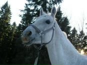 Фотография Зазнобиной Елены