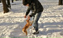 Фотография Ламбурта Кирилла