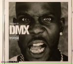 Фотография Shevchenko Denis