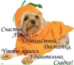 Фотография Шукшиной Екатерины