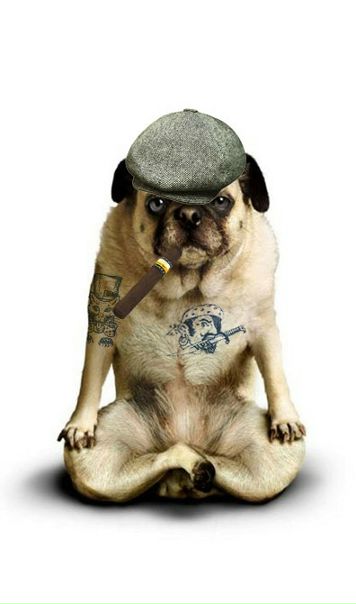 Руслан Руденко фото №38