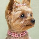 Христя Савшак фотография #7 (источник - https://vk.com/id73275571)