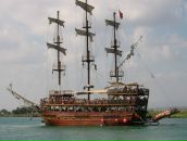 Альбина Низамиева (Сунгатуллина) фотография #10 (источник - https://vk.com/id23884244)