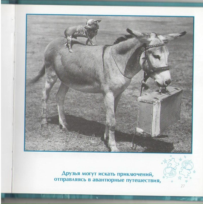 Роман Сербененко фотография #34