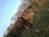 Діма Лазарюк фотография #31 (источник - https://vk.com/id147858124)