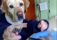 Фотография Панюхина Дмитрия