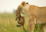 Юлія Лісовець фотография #41 (источник - https://vk.com/id62347258)