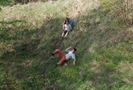 Фотография Щербакова Федора