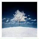 Фотография Веретенниковой Насти