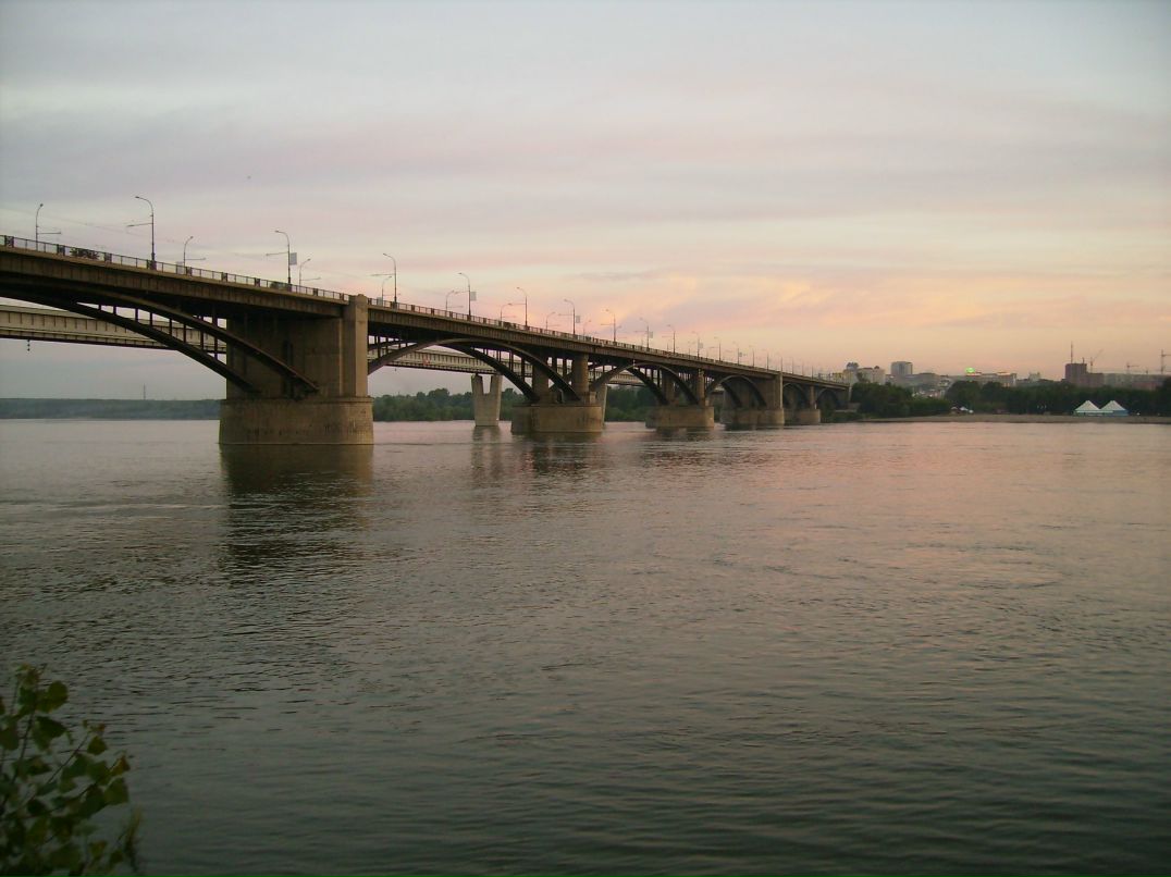 Кот Бегемот фотография #13