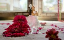 Фотография Романовой Елены