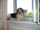 Фотография Матюшковой Ирины