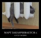 Ірина Редько фотография #29 (источник - https://vk.com/id55667456)