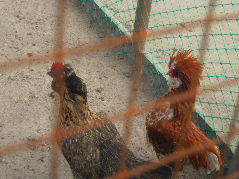 Наталья Гринёва фотография #49