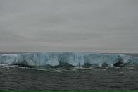 Фотография Логиновой Александры