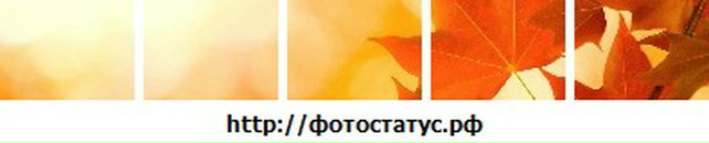 Арина Тома фотография #19 (источник - https://vk.com/id58230667)