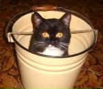 Фотография Бодрова Евгения