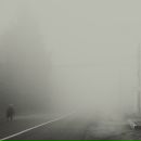 Фотография Шелестова Антона