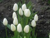 Сергій Дудін фотография #45 (источник - https://vk.com/id60860149)