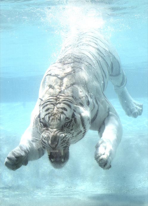 Евгений Радаев фотография #14